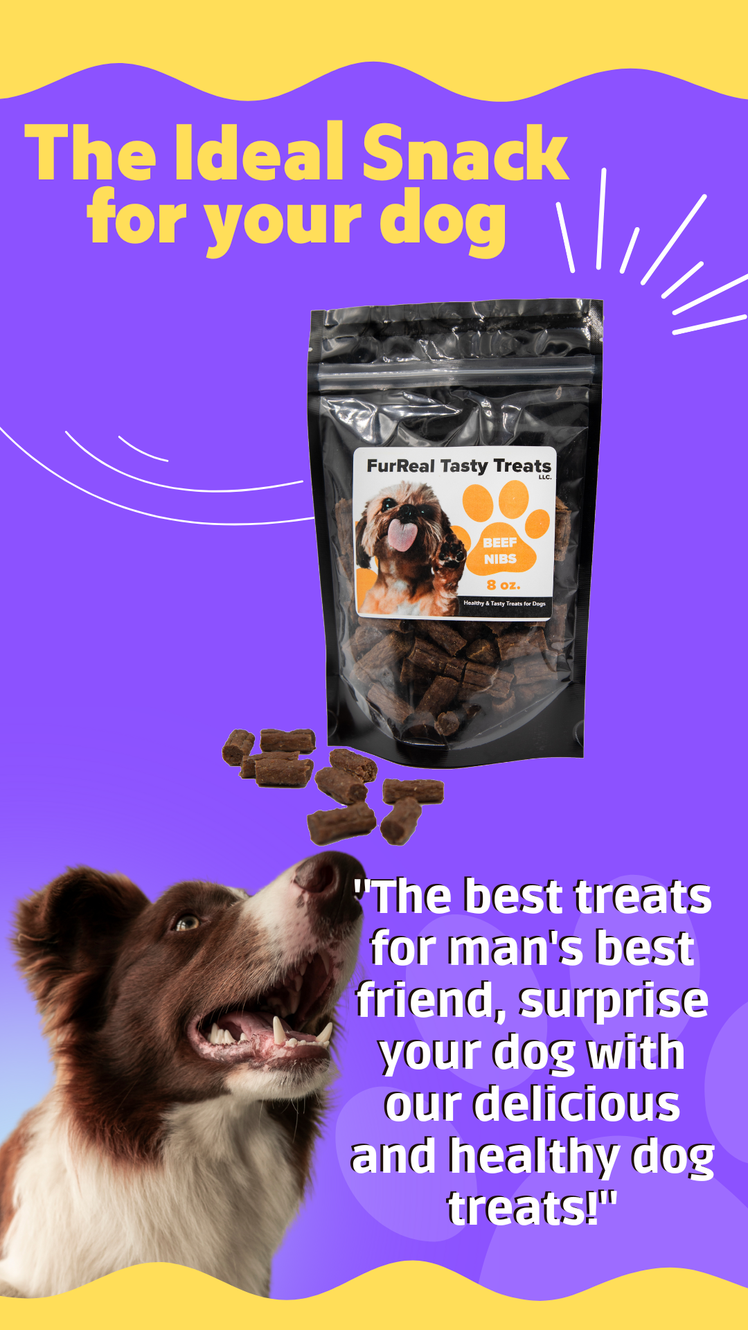 FurReal Tasty Treats